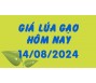 Giá lúa gạo hôm nay 14/8