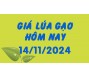Giá lúa gạo hôm nay 14/11