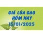 Giá lúa gạo hôm nay 15/1/25