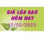 Giá lúa gạo hôm nay 15/2
