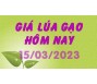Giá lúa gạo hôm nay 15/3