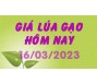 Giá lúa gạo hôm nay 16/3