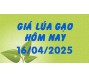 Giá lúa gạo hôm nay 16/4/25