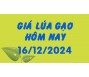 Giá lúa gạo hôm nay 16/12