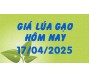 Giá lúa gạo hôm nay 17/4/25