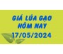 Giá lúa gạo hôm nay 17/5