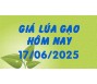 Giá lúa gạo hôm nay 17/6/25