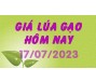 Giá lúa gạo hôm nay 17/7