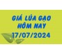 Giá lúa gạo hôm nay 17/7