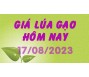 Giá lúa gạo hôm nay 17/8