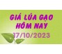 Giá lúa gạo hôm nay 17/10