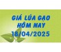 Giá lúa gạo hôm nay 18/4/25