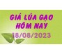 Giá lúa gạo hôm nay 18/8