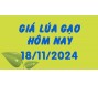 Giá lúa gạo hôm nay 18/11