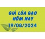 Giá lúa gạo hôm nay 19/8