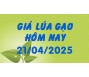 Giá lúa gạo hôm nay 21/4/25