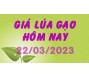 Giá lúa gạo hôm nay 22/3