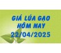 Giá lúa gạo hôm nay 22/4/25