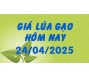 Giá lúa gạo hôm nay 24/4/25