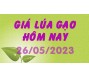 Giá lúa gạo hôm nay 26/5