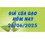 Giá lúa gạo hôm nay 26/6/25