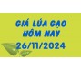 Giá lúa gạo hôm nay 26/11