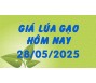 Giá lúa gạo hôm nay 28/5/25