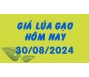 Giá lúa gạo hôm nay 30/8