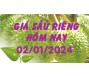 Giá sầu riêng hôm nay 2/1