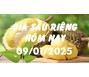 Giá sầu riêng hôm nay 9/1/25