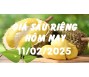 Giá sầu riêng hôm nay 11/2/25