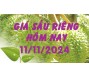 Giá sầu riêng hôm nay 11/11