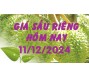 Giá sầu riêng hôm nay 11/12