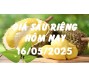 Giá sầu riêng hôm nay 16/5/25