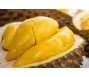 Sầu riêng Việt Nam sẽ chịu sự cạnh tranh khốc liệt từ ...