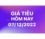 Giá tiêu hôm nay 7/12