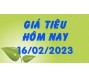 Giá tiêu hôm nay 16/2