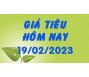 Giá tiêu hôm nay 19/2