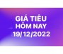 Giá tiêu hôm nay 19/12