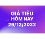 Giá tiêu hôm nay 29/12