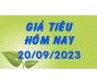 Giá tiêu hôm nay 20/9