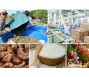 Bản tin thị trường nông, lâm, thủy sản số ra ngày 31/5/2023