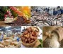 Bản tin thị trường nông, lâm, thủy sản số ra ngày 30/9/2023