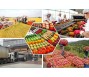 Bản tin thị trường nông, lâm, thủy sản số ra ngày 31/3/2023