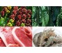 Bản tin thị trường nông, lâm, thủy sản số ra ngày 28/2/2023