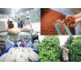 Bản tin thị trường nông, lâm, thủy sản số ra ngày 20/10/2023