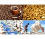 Bản tin thị trường nông, lâm, thủy sản số ra ngày 20/2/2023
