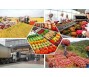 Bản tin thị trường nông, lâm, thủy sản số ra ngày 20/1/2023